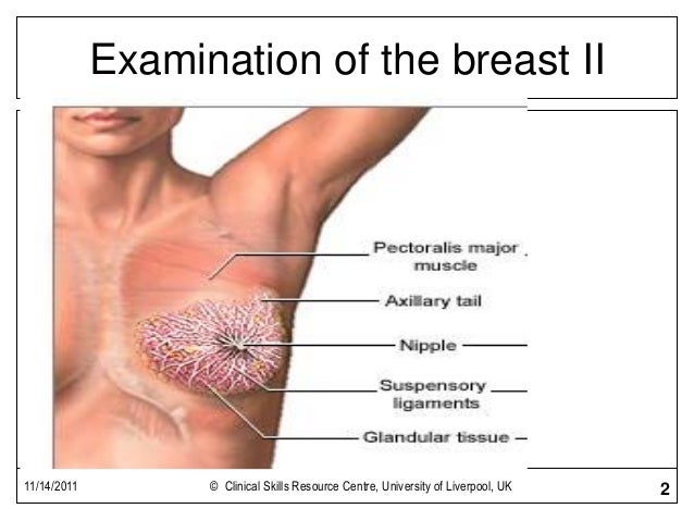 exam of breast Gay muscle thumbs
